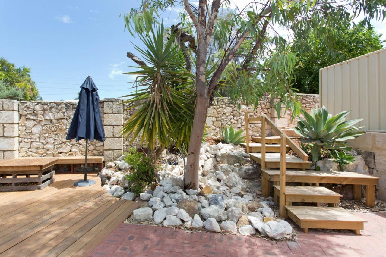 Dingo At White Gum Lodge Fremantle Kültér fotó